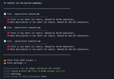 Image showing SEO Issues At Build Time